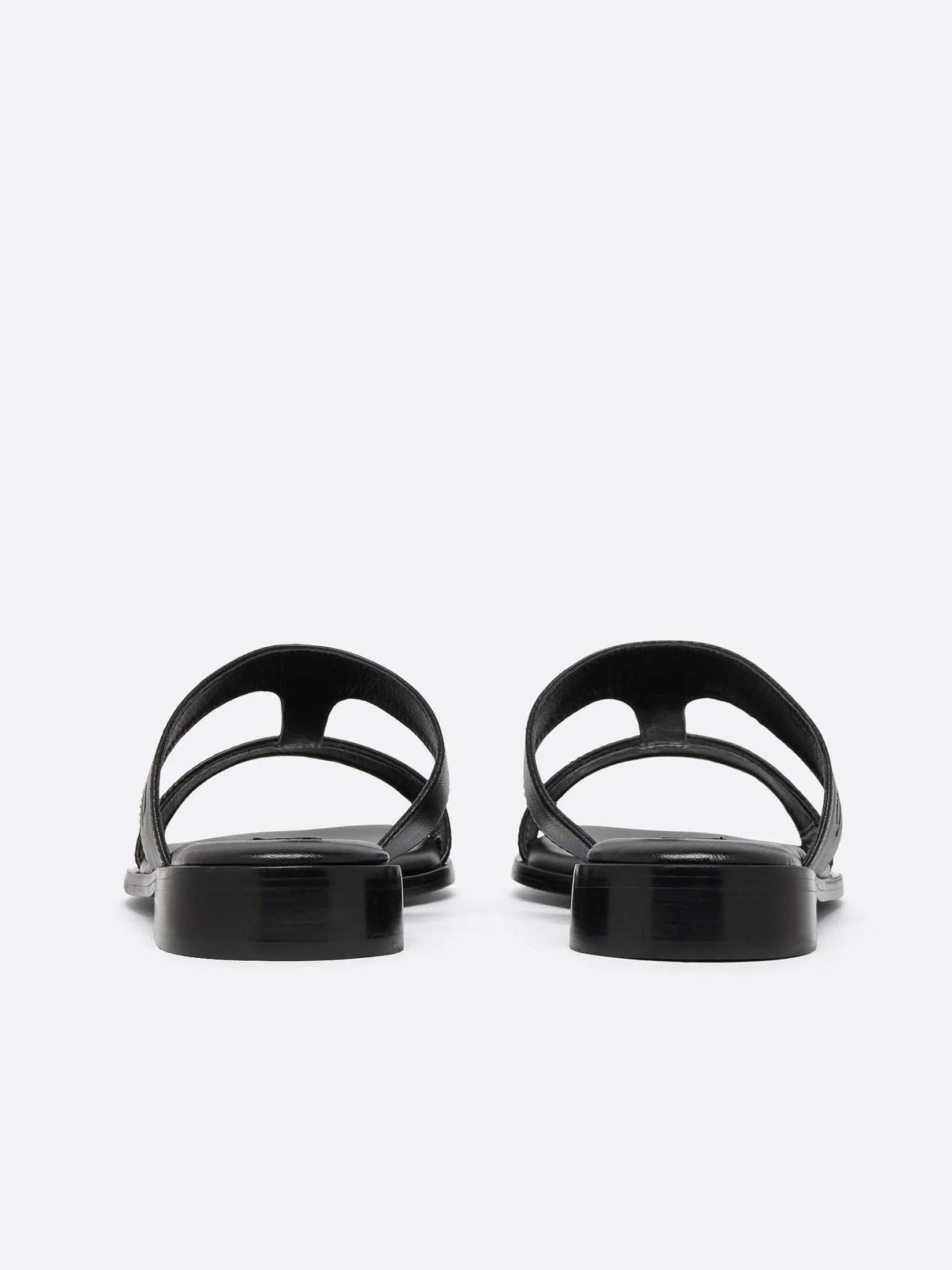 Black Leather Flat Mules-Carel Outlet